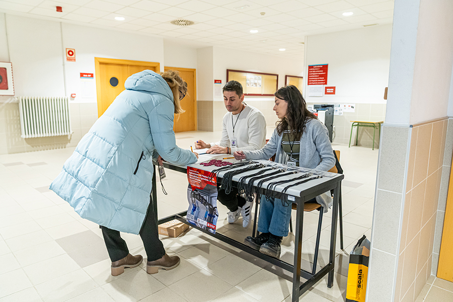 Executive Summary - I PLASpain Seminar