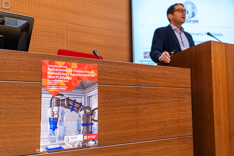 Executive Summary - I PLASpain Seminar