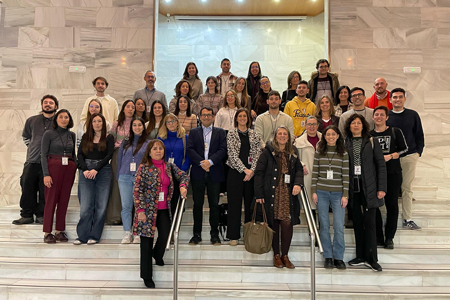 Executive Summary - I PLASpain Seminar